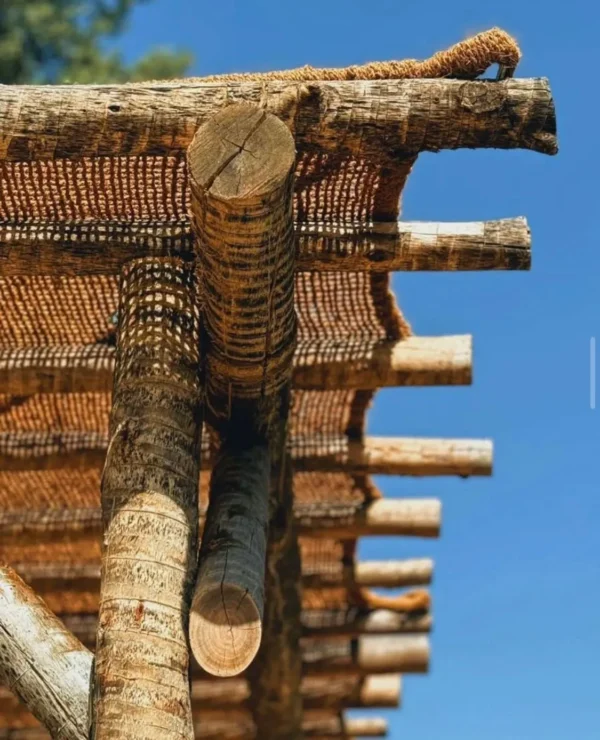 Malla de coco premium para decoración y paisajismo