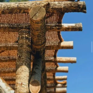 Toldo cuadrado/rectangular de coco sin anclajes